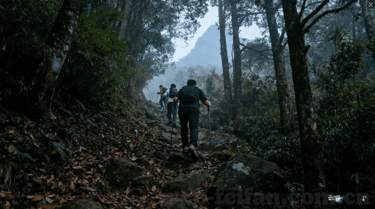 24小时澳门永利娱乐注册-澳门永利24小时娱乐注册，打造多元化娱乐新体验